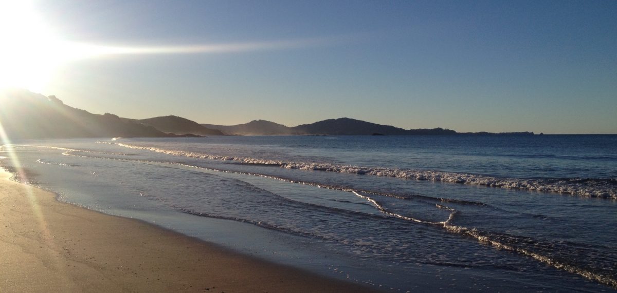 The Honest Woman's Guide to Growing Up.